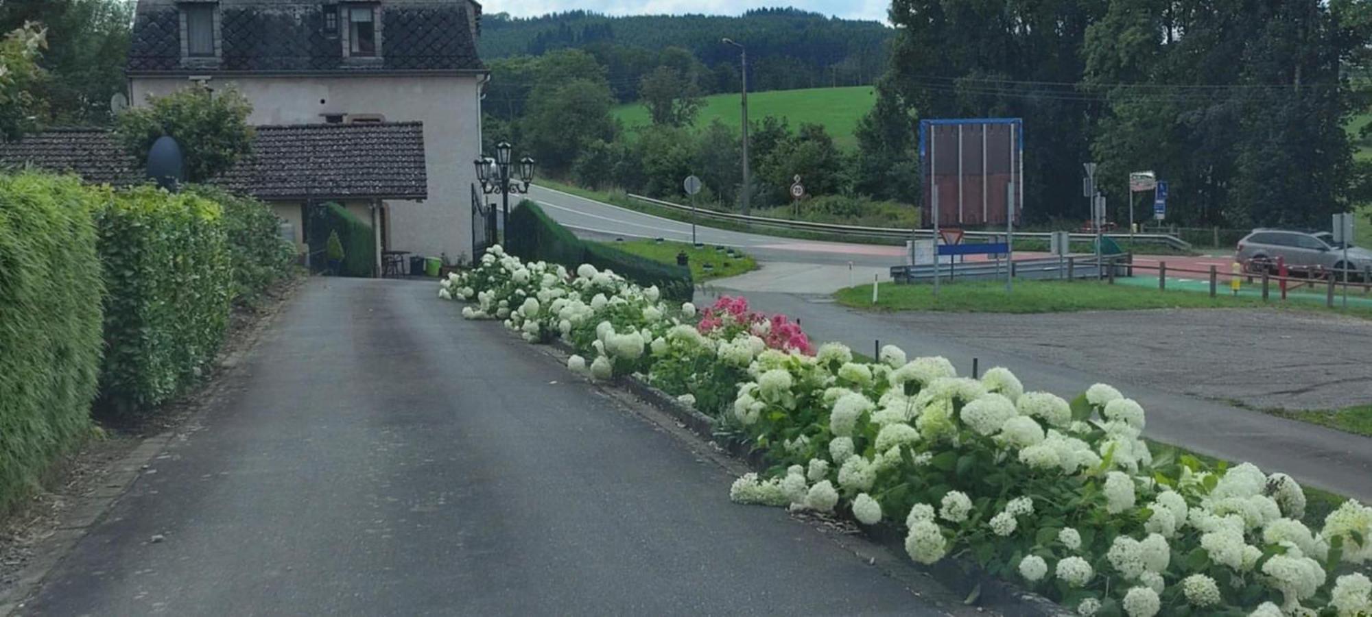 Chalet Rose Burg Reuland Exterior foto